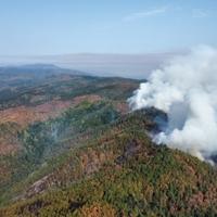 VIDEO / Helikopter OS BIH pomaže u gašenju požara u Maglaju 