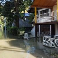 Ljudi čamcem dolaze do kuća: Dunav već poplavio dijelove naselja u Srbiji