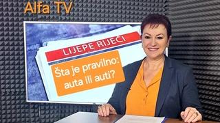 Šta je pravilno: auta ili auti?