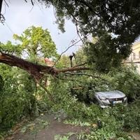 Olujno nevrijeme u Tuzli: Vjetar obara stabla, nosi krovove, jedna osoba povrijeđena