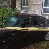 Nevrijeme pogodilo i Hercegovinu: Pričinjena velika materijalna šteta, grane završile na automobilima