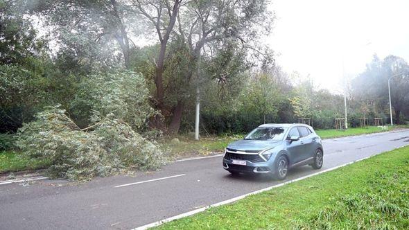 Građani su, pred praznike, suočeni sa otkazivanjem željezničkih linija u dijelovima Njemačke - Avaz