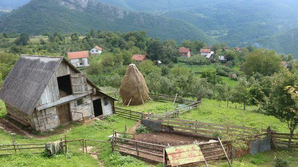 Povratnici - Avaz