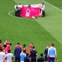 Uznemirujuće / Stravična povreda fudbalera Notingema, svi na stadionu se držali za glave