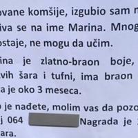 Dječak iz Srbije dirnuo regiju svojim oglasom: "Izgubio sam mačku, puno mi nedostaje"