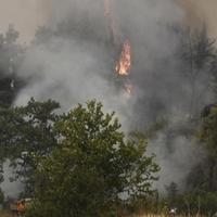 Šumski požari prijete naseljima u Grčkoj