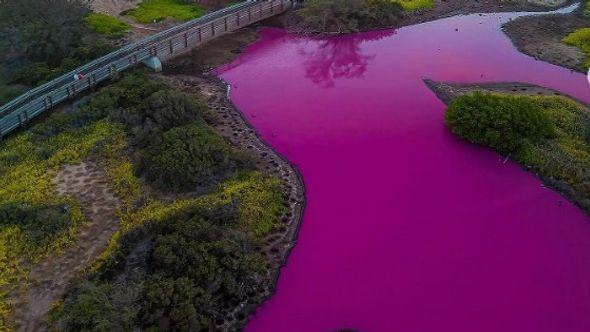 Nacionalno utočište za divlje životinje Kealia Pond u Mauiju - Avaz