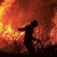 Halifaks na istoku Kanade proglasio vanredno stanje zbog šumskih požara