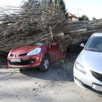 Olujno nevrijeme u Hrvatskoj, u Zagrebu povrijeđena jedna osoba